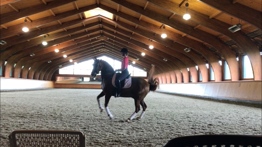 Emily Gill riding dressage
