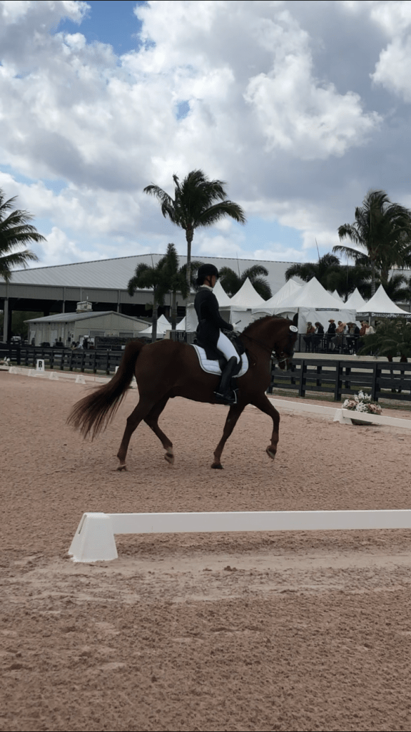 Emily Gill showing dressage