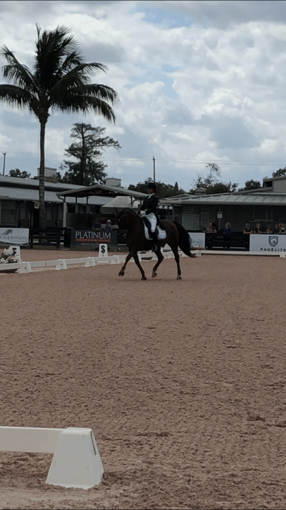 Emily Gill showing at AGDF